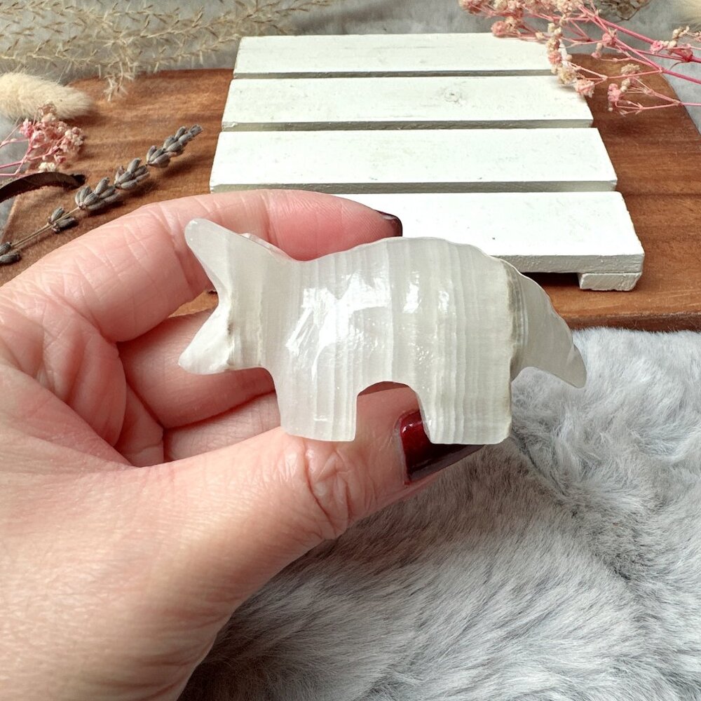 Gorgeous Small Onyx Armadillo Carving